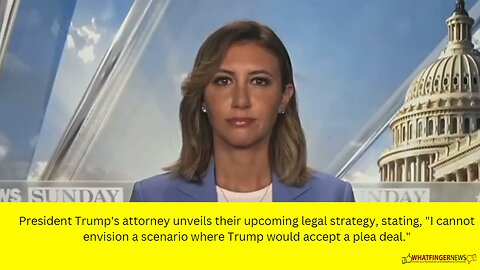 President Trump's attorney unveils their upcoming legal strategy