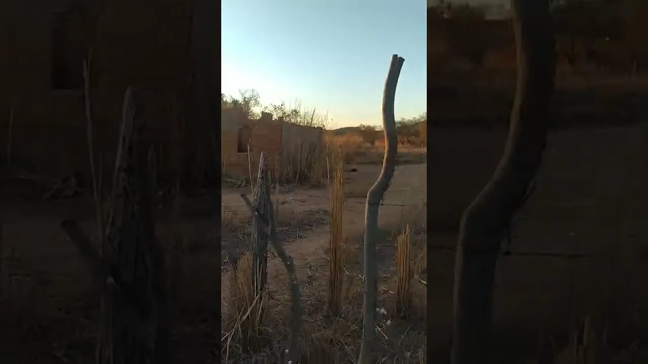 MEU OÁSIS NO SERTÃO BAHIANO