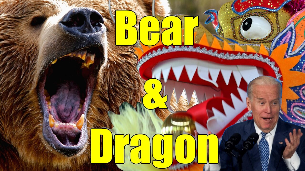 Bear and Dragon