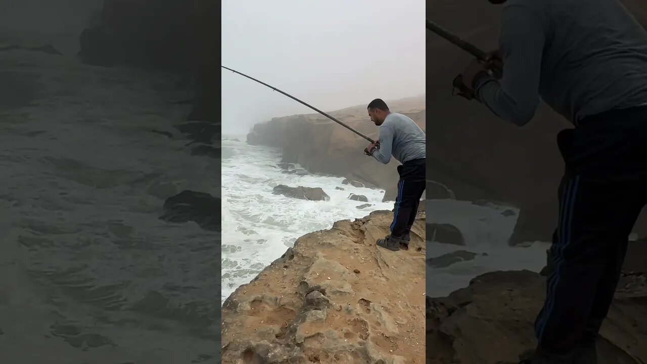 طريقة التطعيم باحسن طعم لصيد الشرغو في فصل الشتاء مع النتيجة على المباشر🙏🐟