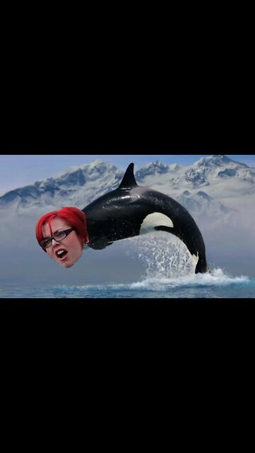 How To Properly Greet A Feminist #Shorts Version