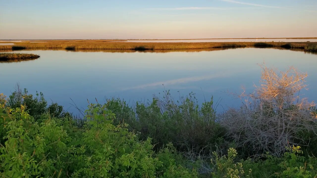 Waxing Gibbous Moon at St. Marks NWR near Panacea, Florida - Fall 2021