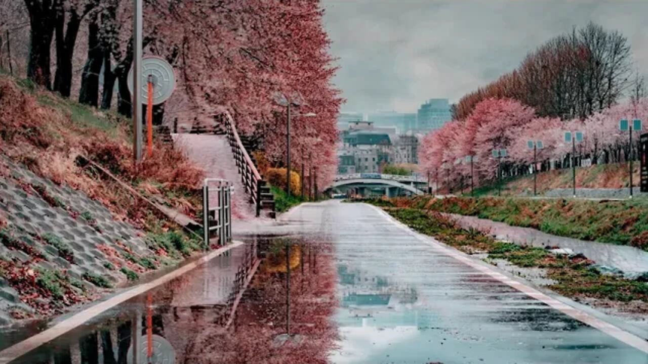 Gentle rain in the beautiful Yangjae Citizens' Forest park