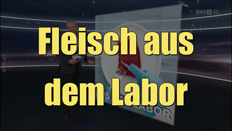 Fleisch aus dem Labor (ORF I 17.06.2022)