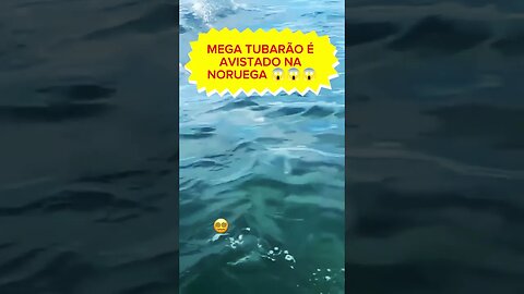 #mistério #surpreendente
