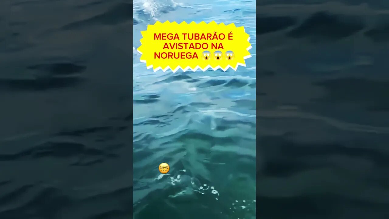 #mistério #surpreendente