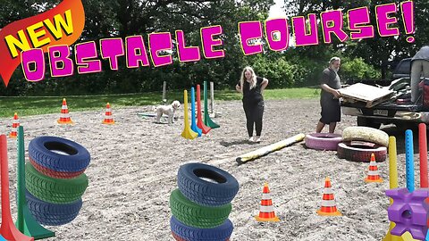 Building An Obstacle Course For Our Horses And Penny Got Ripped Off!