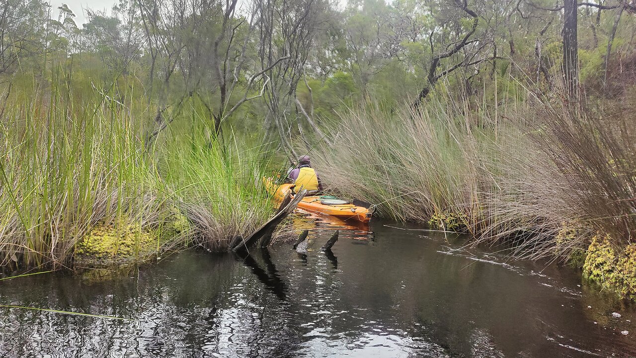 Relive Kayaking Upstream from campsite 13