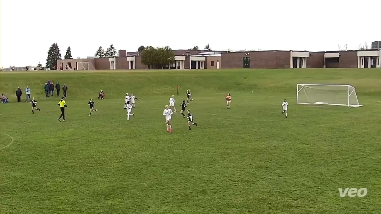 2010 Girls Black vs Lakeshore SC | MSYSA Jr. State Cup