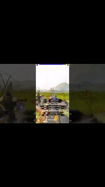 Bannerlord mods that got 132.6k followers and 3.3 million likes on TikTok Gaming Star Wars Warcraft