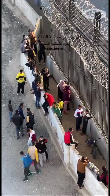 How many walls and fences are between Egypt and Gaza? Why? Aren't they all Islamic brothers?