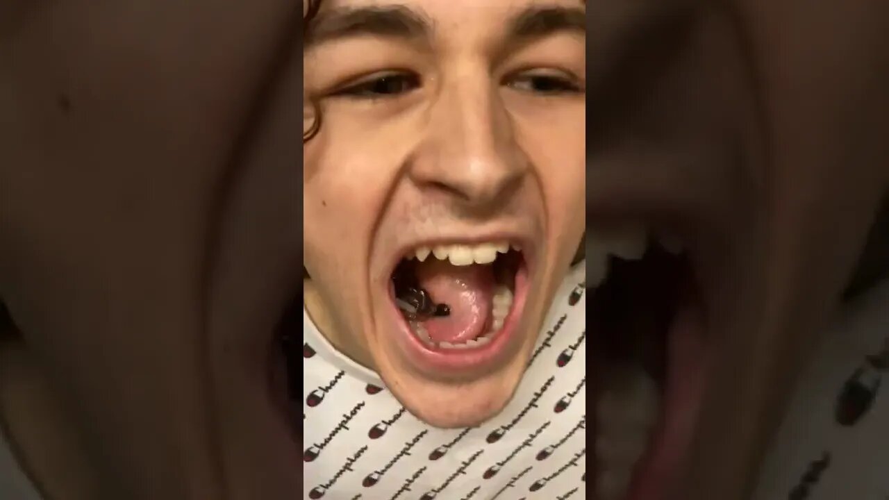 Eating Worms & Drinking Vodka