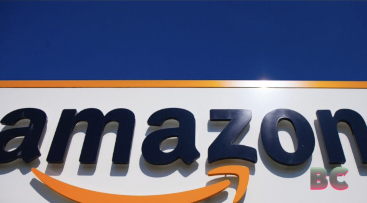 Amazon pushes back against Europe’s pioneering new digital rules