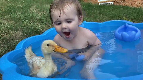 Funny Baby Reaction to Duckling in the Pool