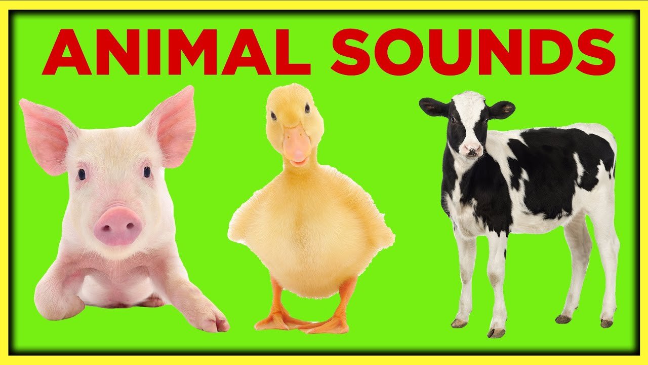 Farm Animal Sounds for Toddlers Toddler Learning Video Educational Speech Videos