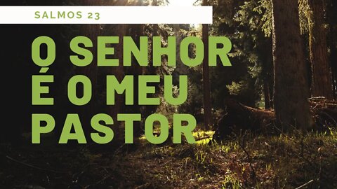 O Senhor é o meu Pastor e nada me faltará - Salmos 23