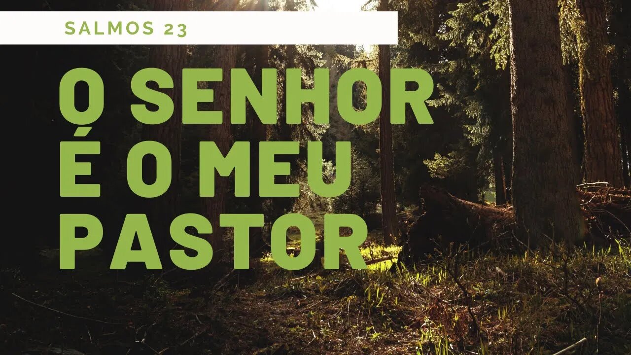 O Senhor é o meu Pastor e nada me faltará - Salmos 23