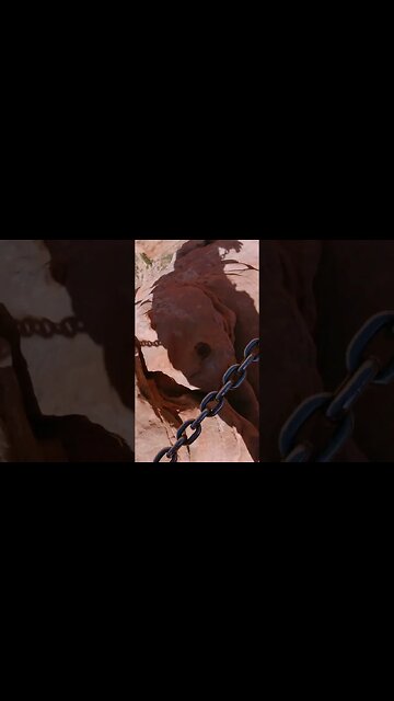 Hiking Angels Landing