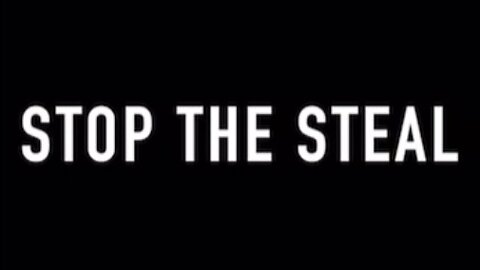 STOP THE STEAL