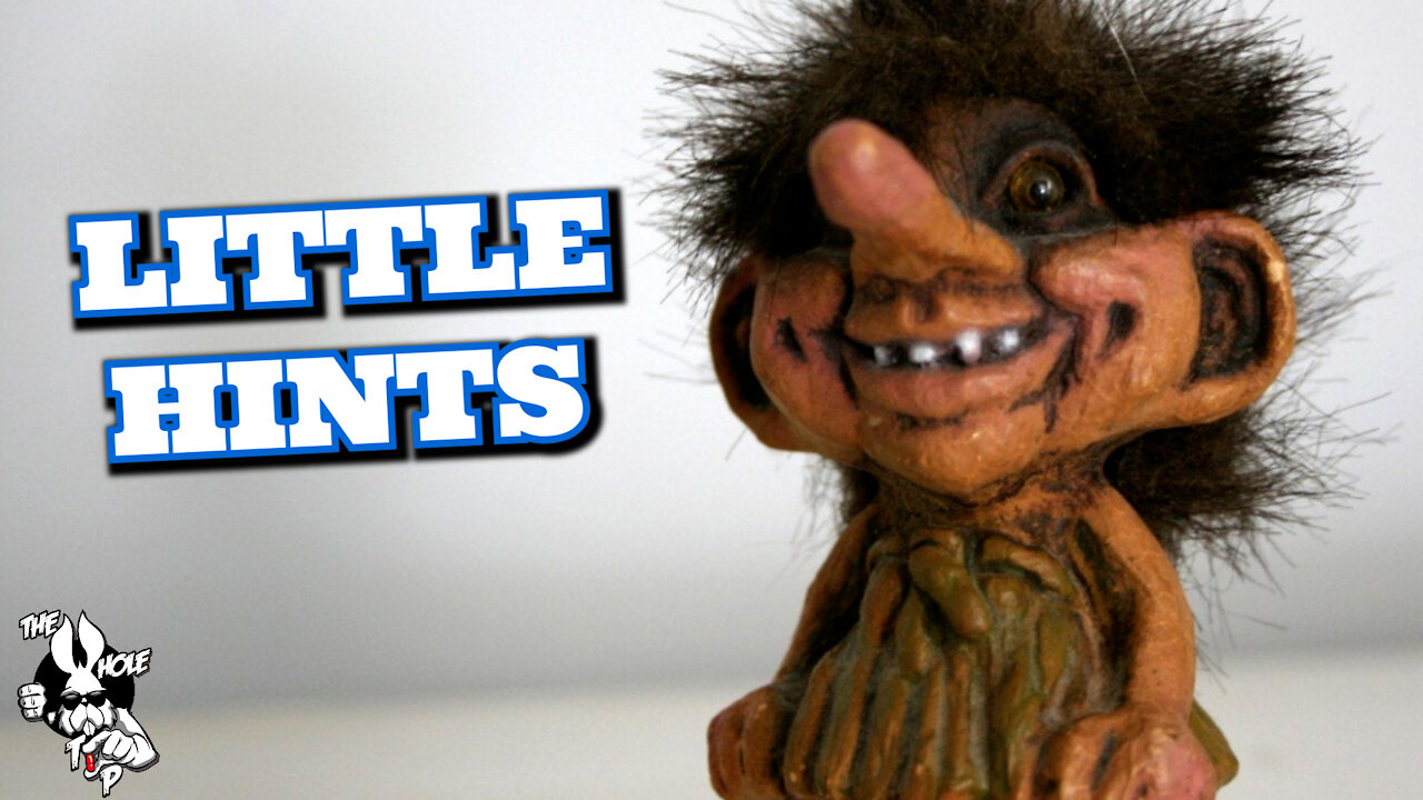 LITTLE HINTS - the Whole Tip Daily