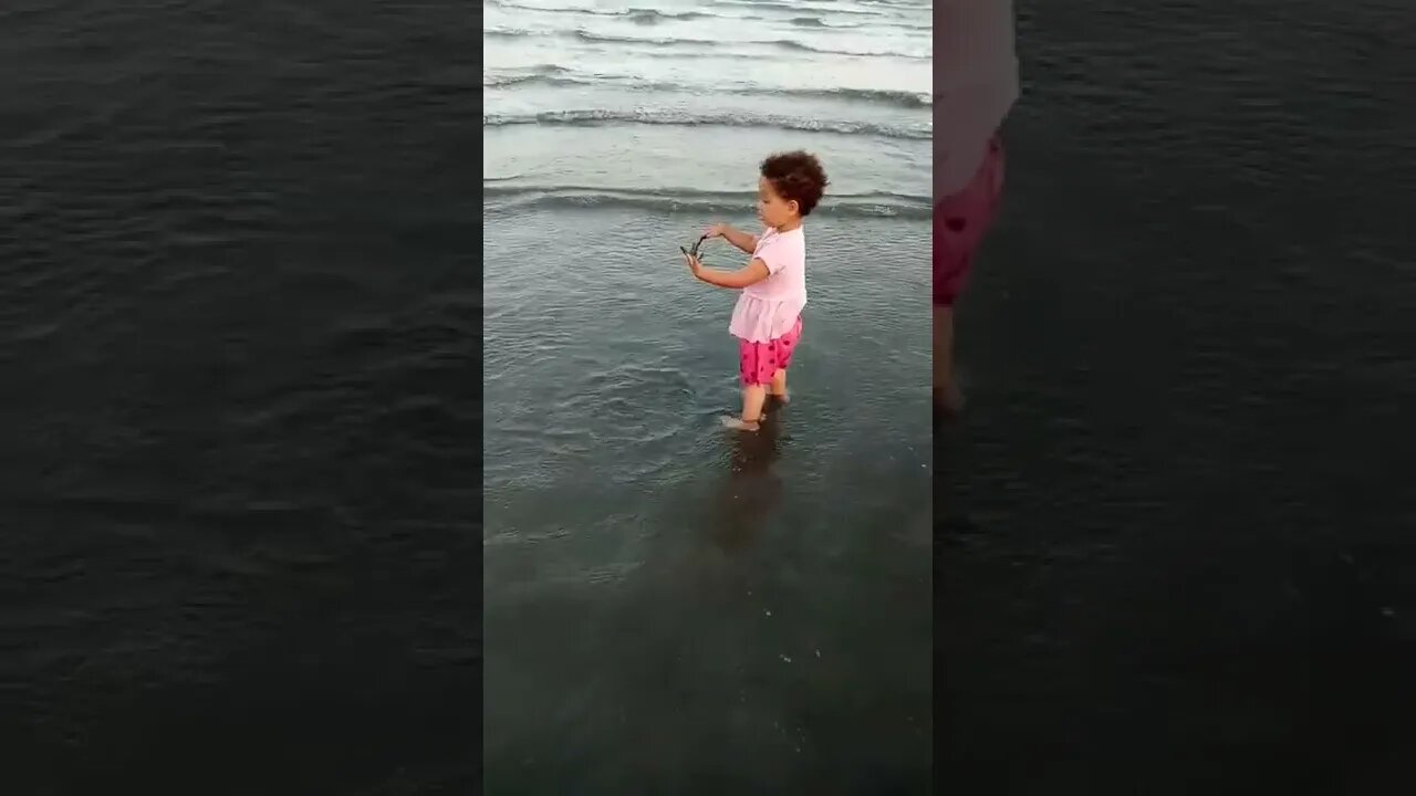 ساحل أبين