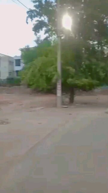 Aaj Phir jeene ki tamanna hai