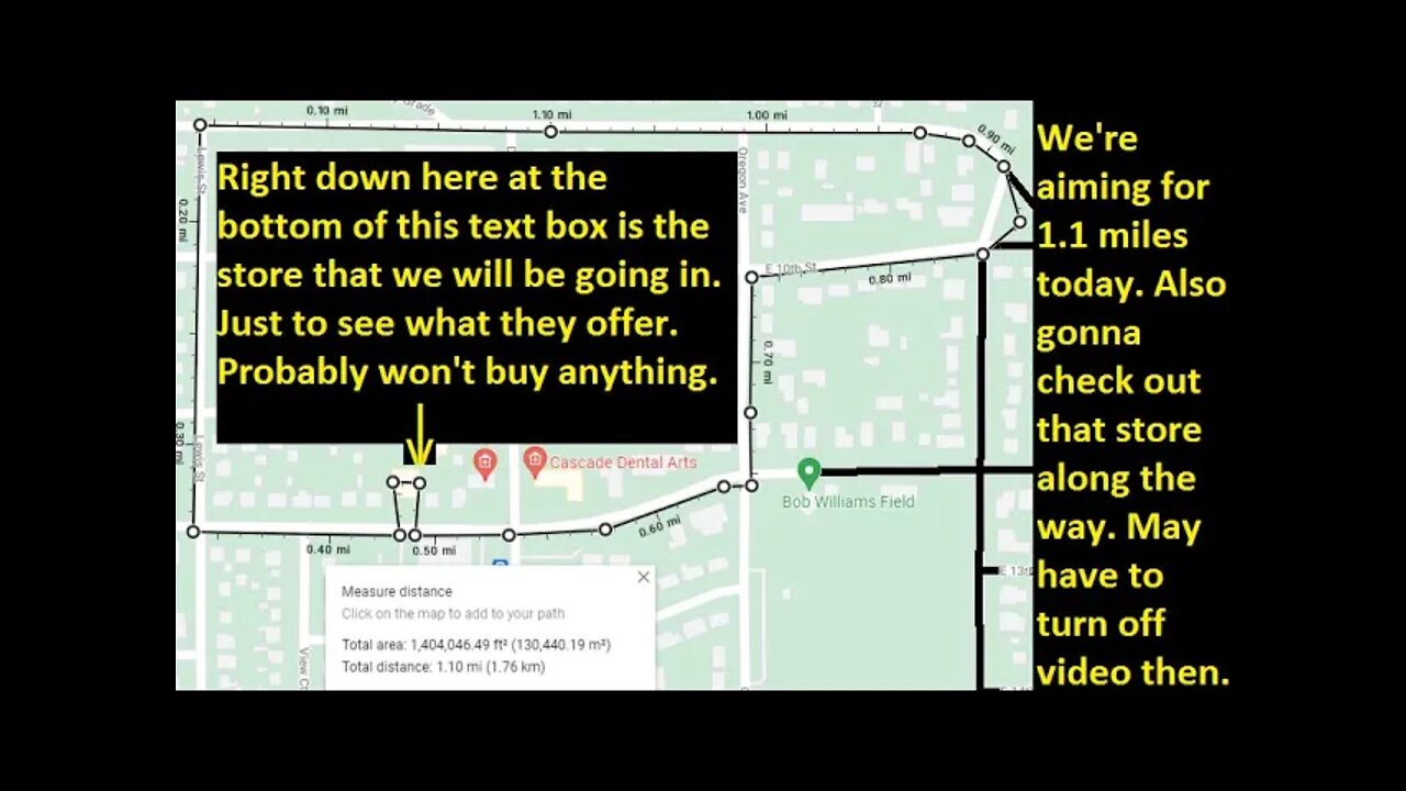 Prep for marathon walk (still out of shape) Walk 10 - gonna do another mile (part 8)