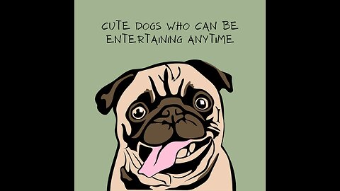 Cute Dogs Who Can Be Entertaining Anytime