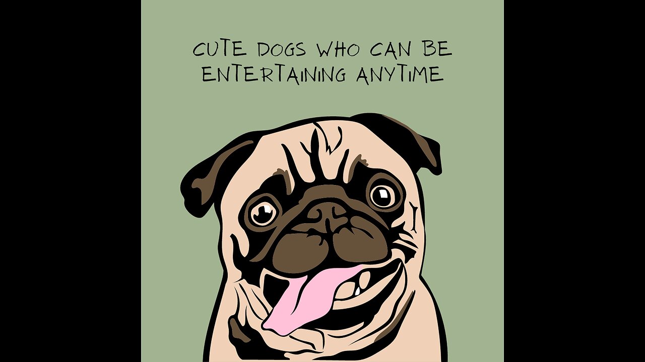 Cute Dogs Who Can Be Entertaining Anytime