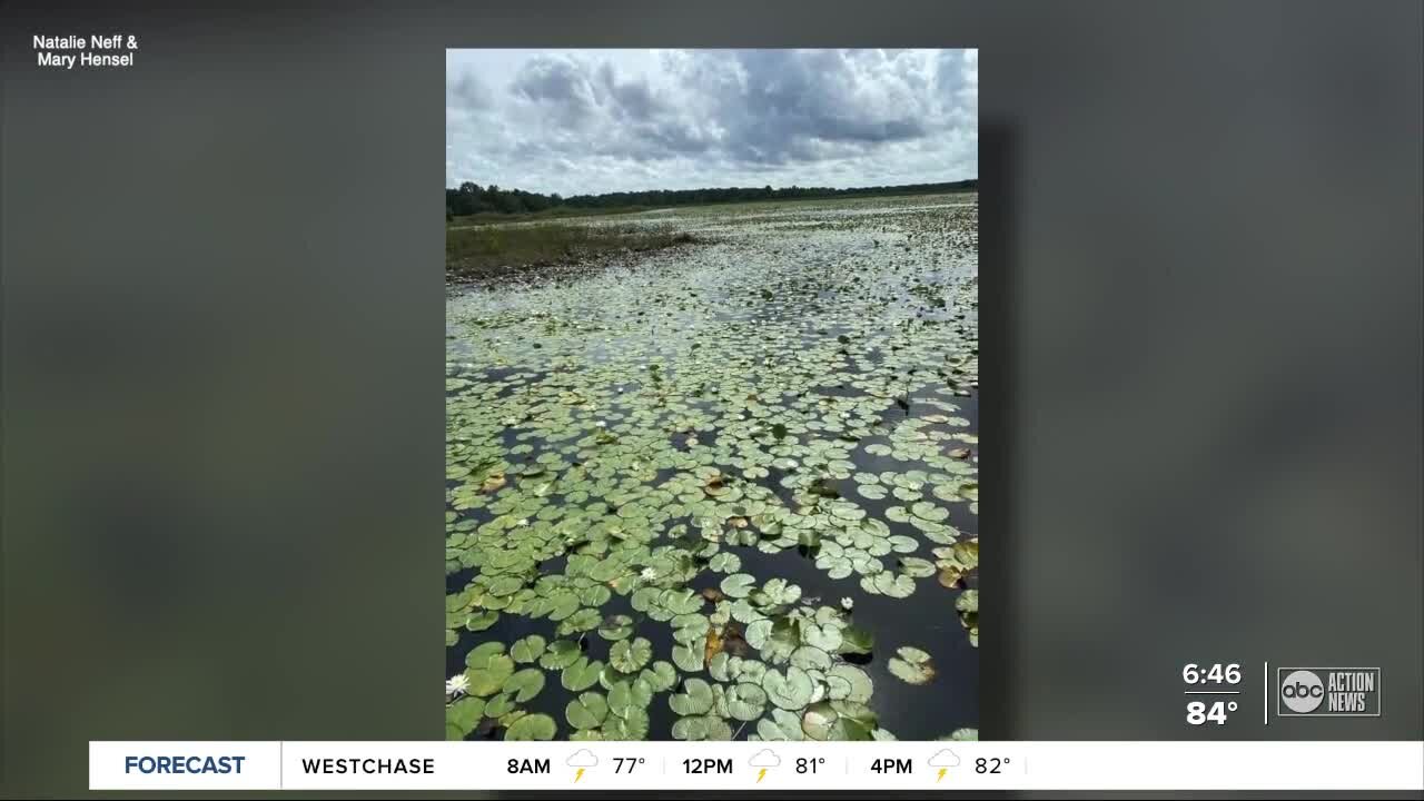 Walking Club: Pasco County educators tackle 'Teacher Trek Tuesday'