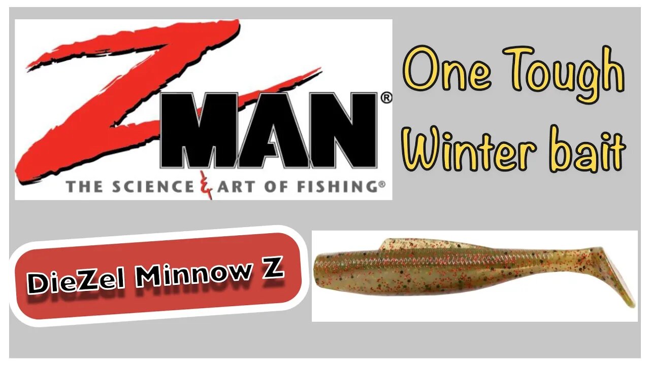 ZMan DieZel Minnow Z - Tip for tough winter bass that dont want to bite