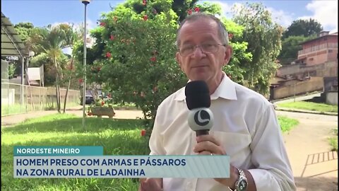 Nordeste Mineiro: homem preso com armas e pássaros na zona rural de Ladainha