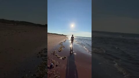 Fun Day at a PEI Beach