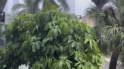 Heavy rain, Sunny Isles Beach,FL