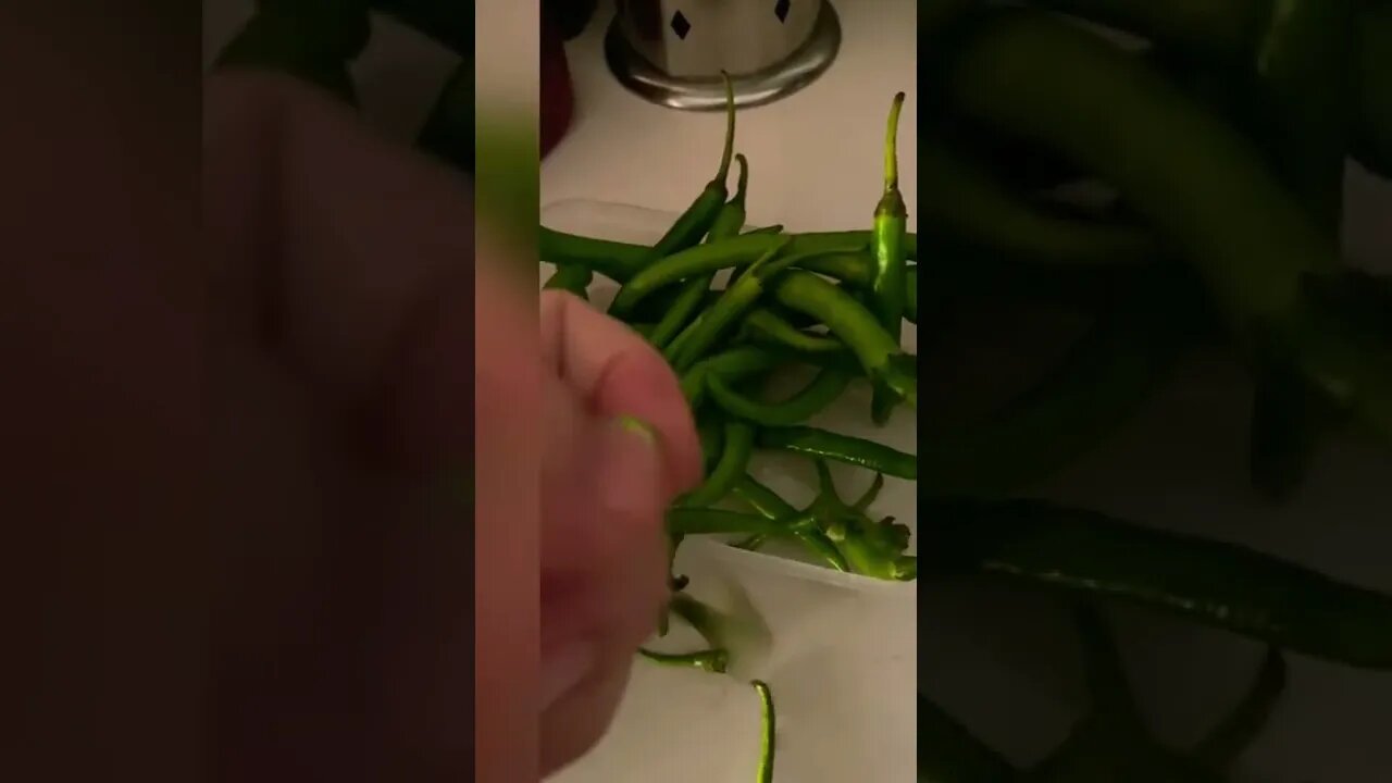 How to preserve green chilli for a week to two/#subscribe #short #beautiful #nature #food #preserve