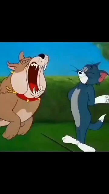 Tom and Jerry 😁