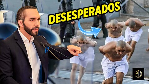 Pandilleros HUYEN de El Salvador 🚨 ¿ADÓNDE SE REFUGIAN?