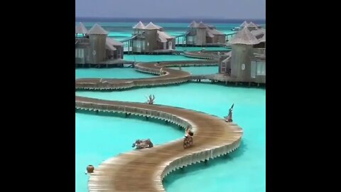 POR FAVOR INSCREVA ME AJUDA - PLEASE SUBSCRIBE HELP ME