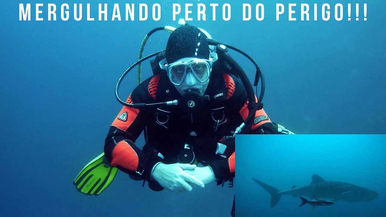 Mergulhando com o Perigo!!! Reino Animal!!!