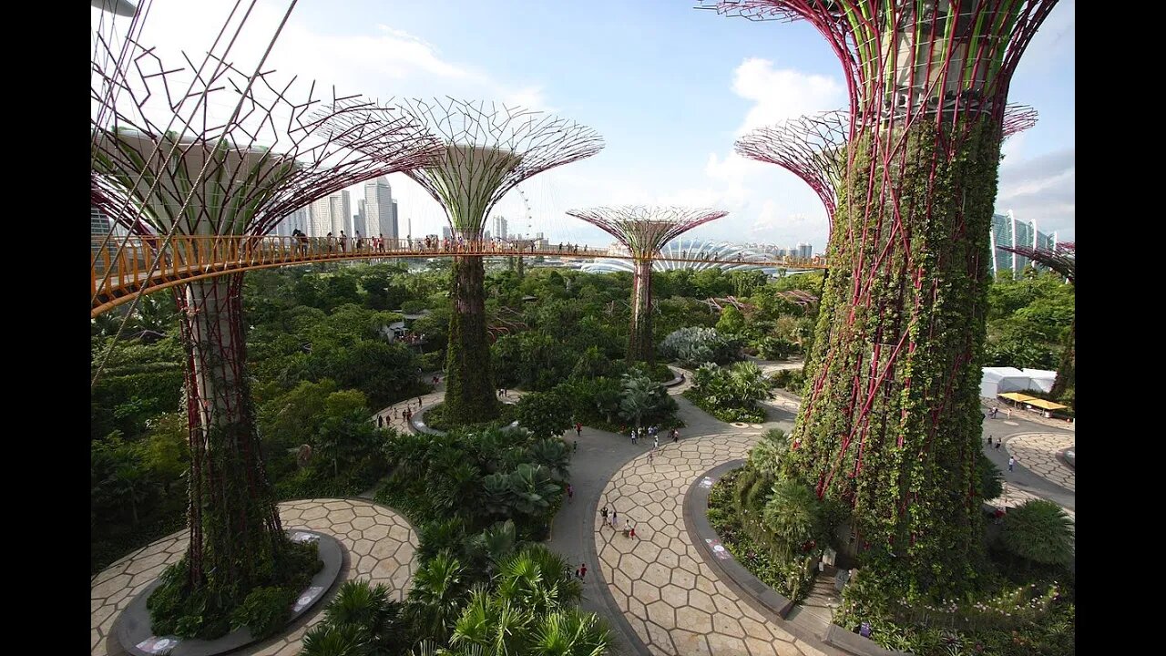 Solarpunk Future – Green Sponge Cities Can Rectify Climate Change and Boost Sustainability – Part 1