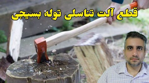 قطع الت تناسلی توله بسیجی