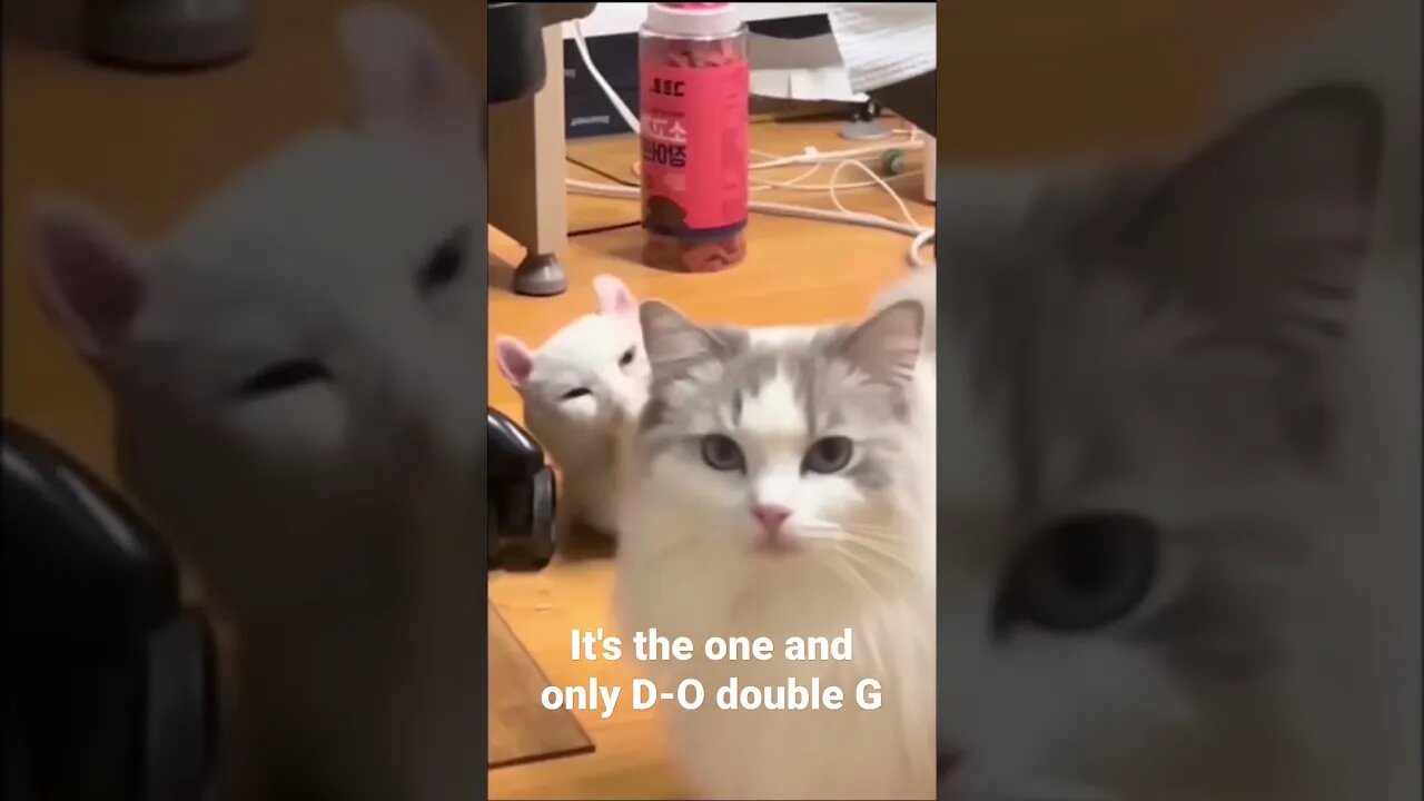 MEME is the one and only D-O double G #shorts