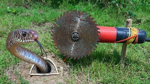 EASY SNAKE TRAP_ Installing Unique Quick Snake Trapping Using ANNA GLOBE Work 100%