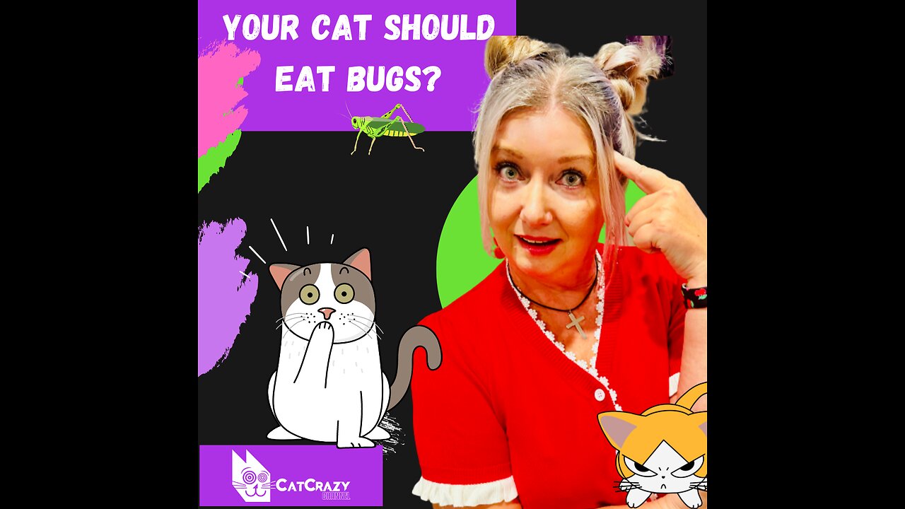 Bugs for your Cat?