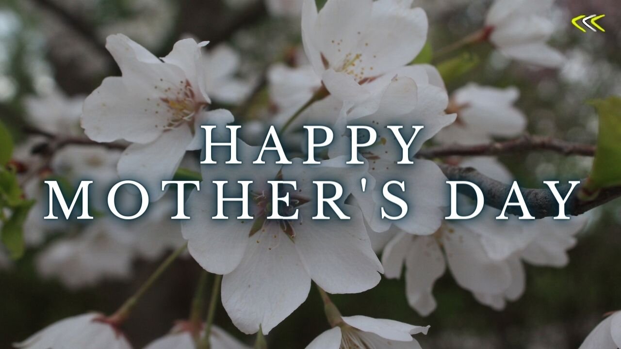 Happy Mother's day shorts