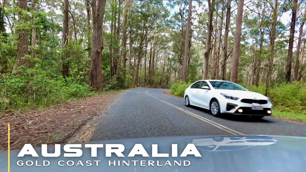 Driving Down Springbrook Mountain || QLD || AUSTRALIA