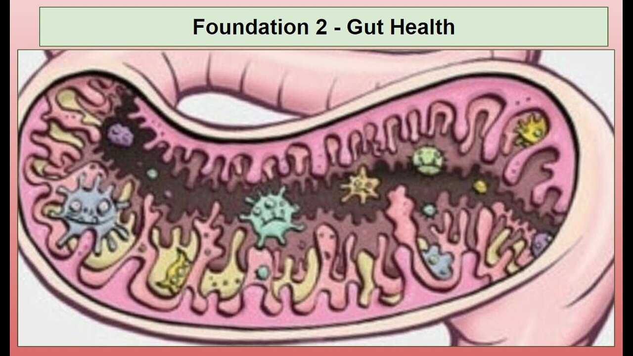 Health Alkemy Community Brunch Health Support - Colon Anatomy Cravings and Our Animal