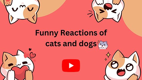 Funniest Animals 2023 😂 Funny Dogs and Cats Videos 😺🐶