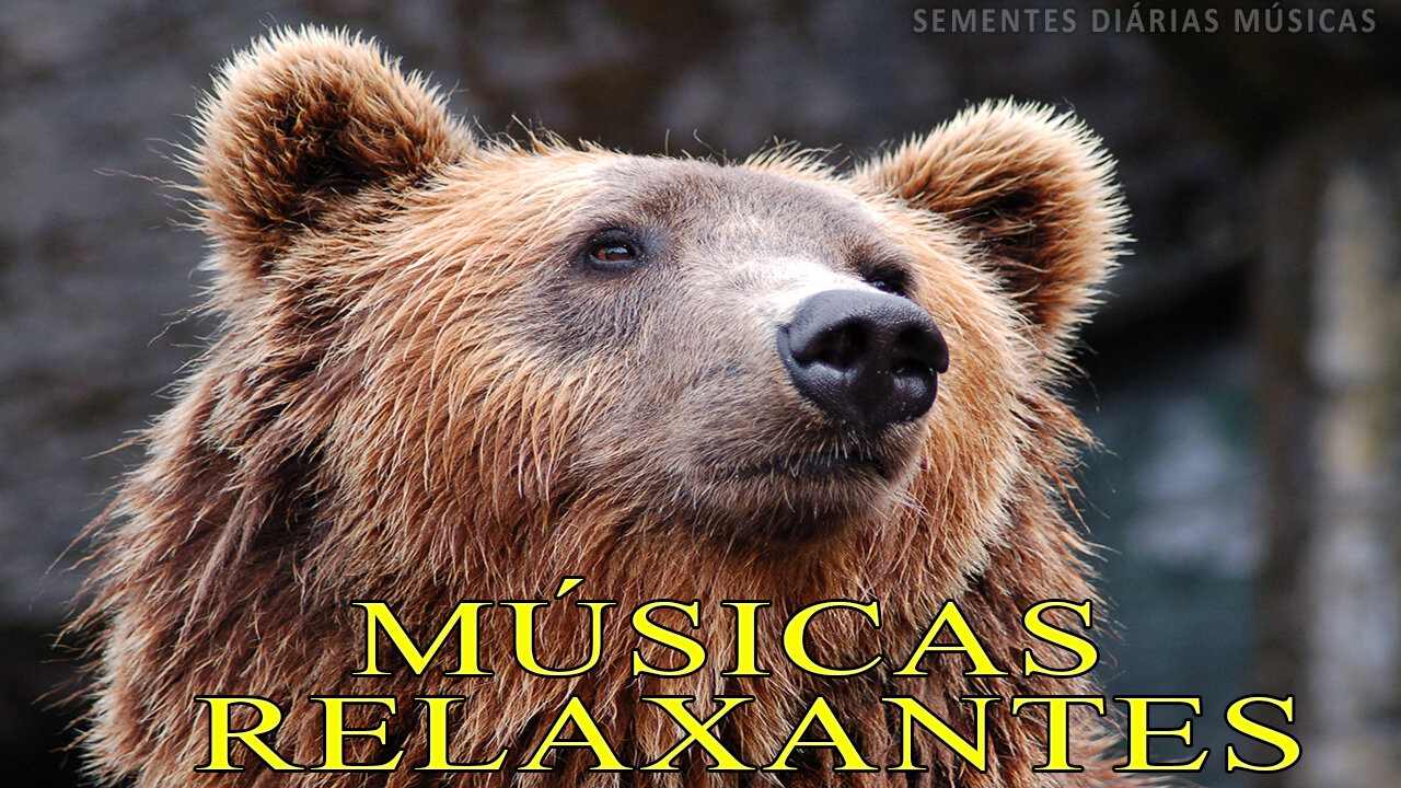 Sementes Diárias Músicas Relaxantes