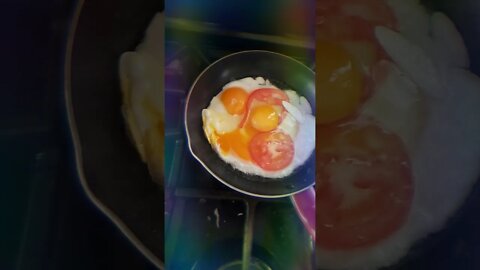 Eggs 2